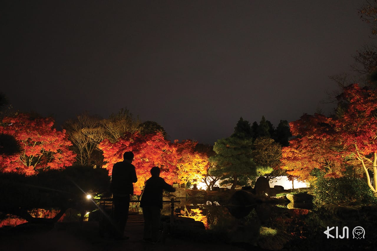 เที่ยว โกเบ (Kobe) ฮิเมจิ (Himeji) โอตสึ (Otsu) : KOKO-EN Garden