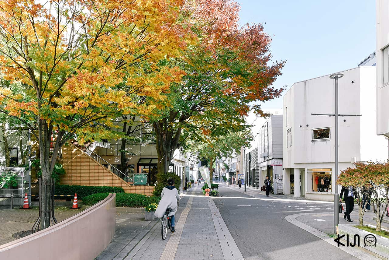 Nakakoji Street ถนนสายวัฒนธรรมสุดชิคในตัวเมือง อาคิตะ