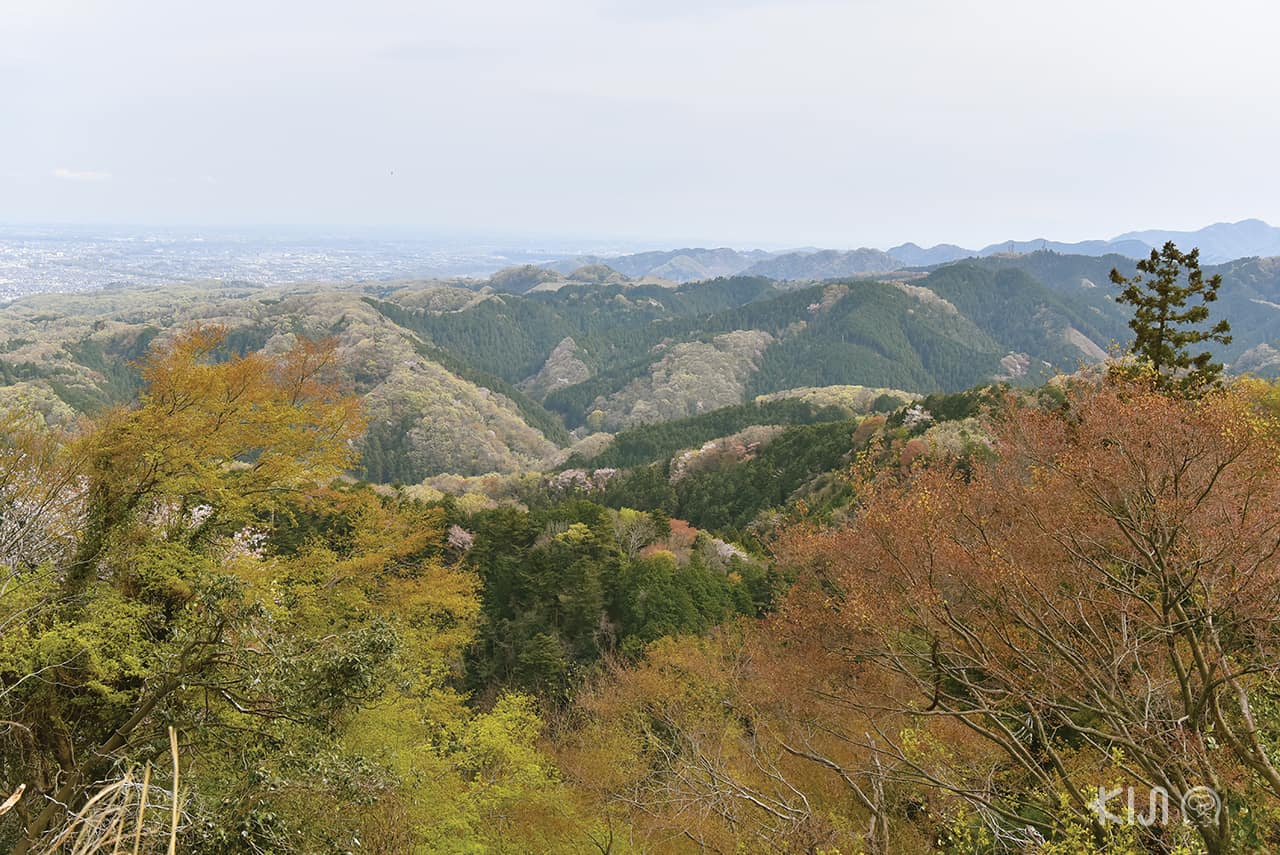 ที่เที่ยวไม่ไกลโตเกียว : ภูเขาทาคาโอะ เมืองฮาจิโอจิ จ.โตเกียว