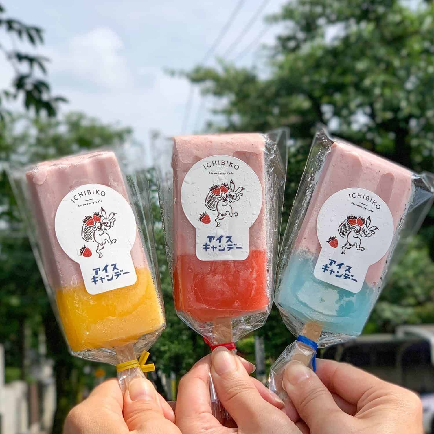 ไอศกรีมทูโทนนมสตรอว์เบอร์รีเข้มข้น สินค้าใหม่จาก ICHIBIKO Cafe เมืองยามาโตะ จ.มิยากิ