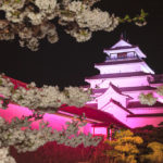 Tsuruga Castle Sakura Night (©Fukushima Prefecture)