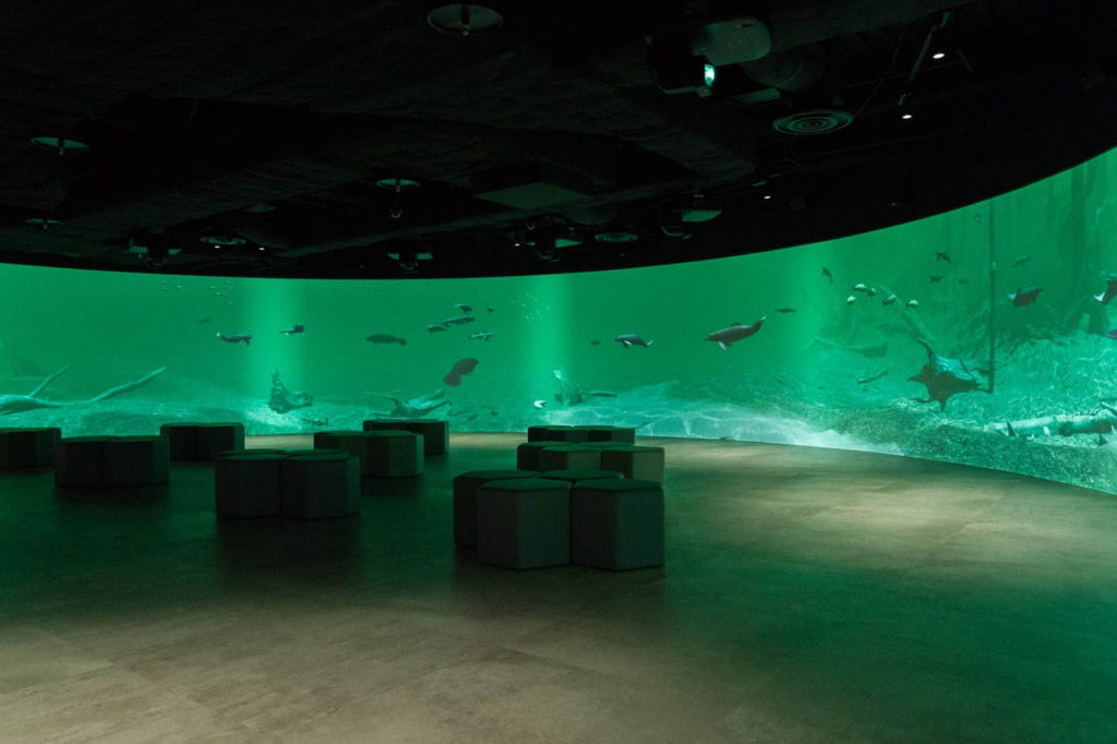 Kawasaki Aquarium : โซน Interactive ที่ฉายภาพจำลองสิ่งมีชีวิตใต้น้ำเสมือนจริง