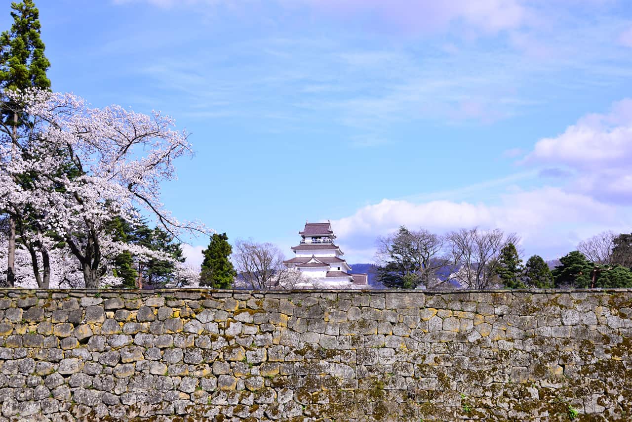 จุดชมซากุระ จ.ฟุกุชิมะ : ปราสาทสึรุกะ (Tsuruga Castle)