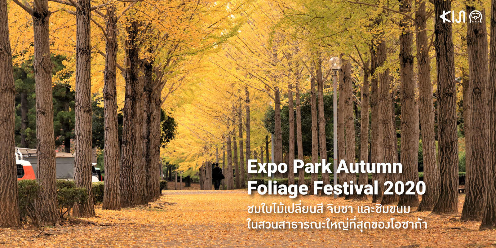 Expo Park Autumn Foliage Festival งานเทศกาลใบไม้เปลี่ยนสีใน โอซาก้า