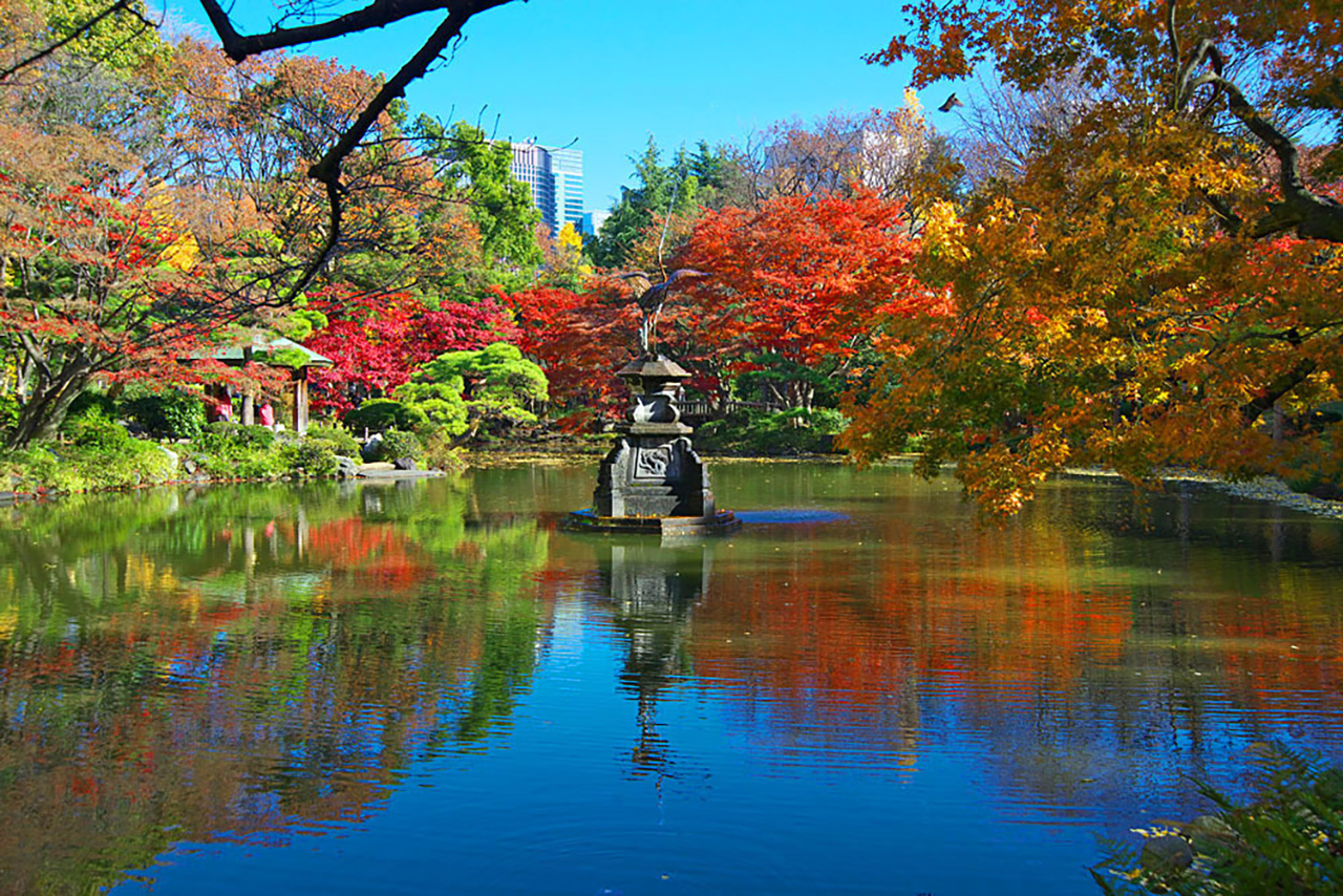 จุดชมใบไม้เปลี่ยนสี ที่สวนสาธารณะฮิบิยะ, โตเกียว
