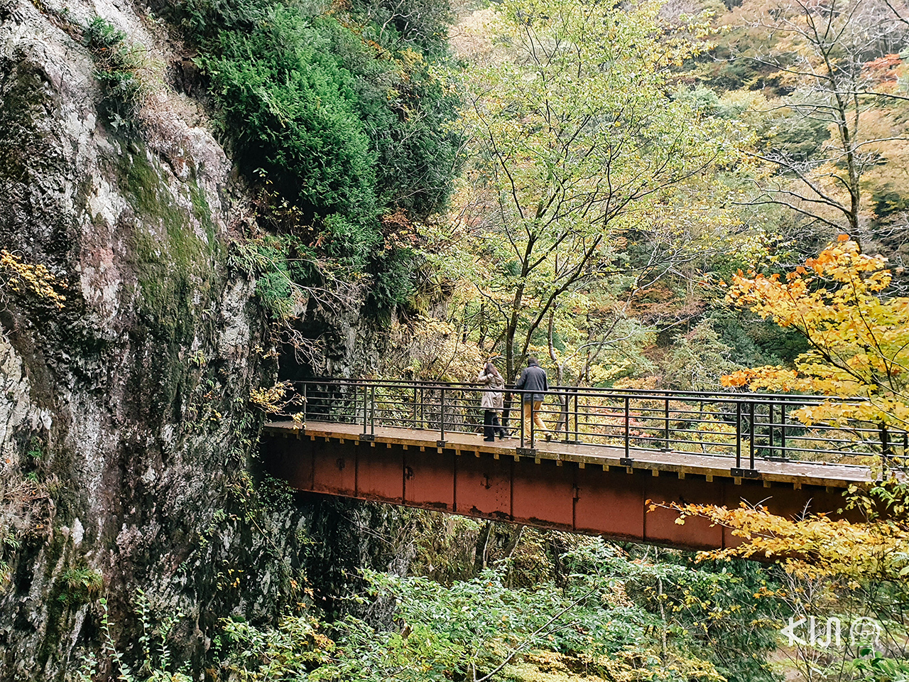 หุบเขาดาคิกาเอริ (Dakigaeri Gorge) ที่ โทโฮคุ และ วิว ใบไม้เปลี่ยนสี 