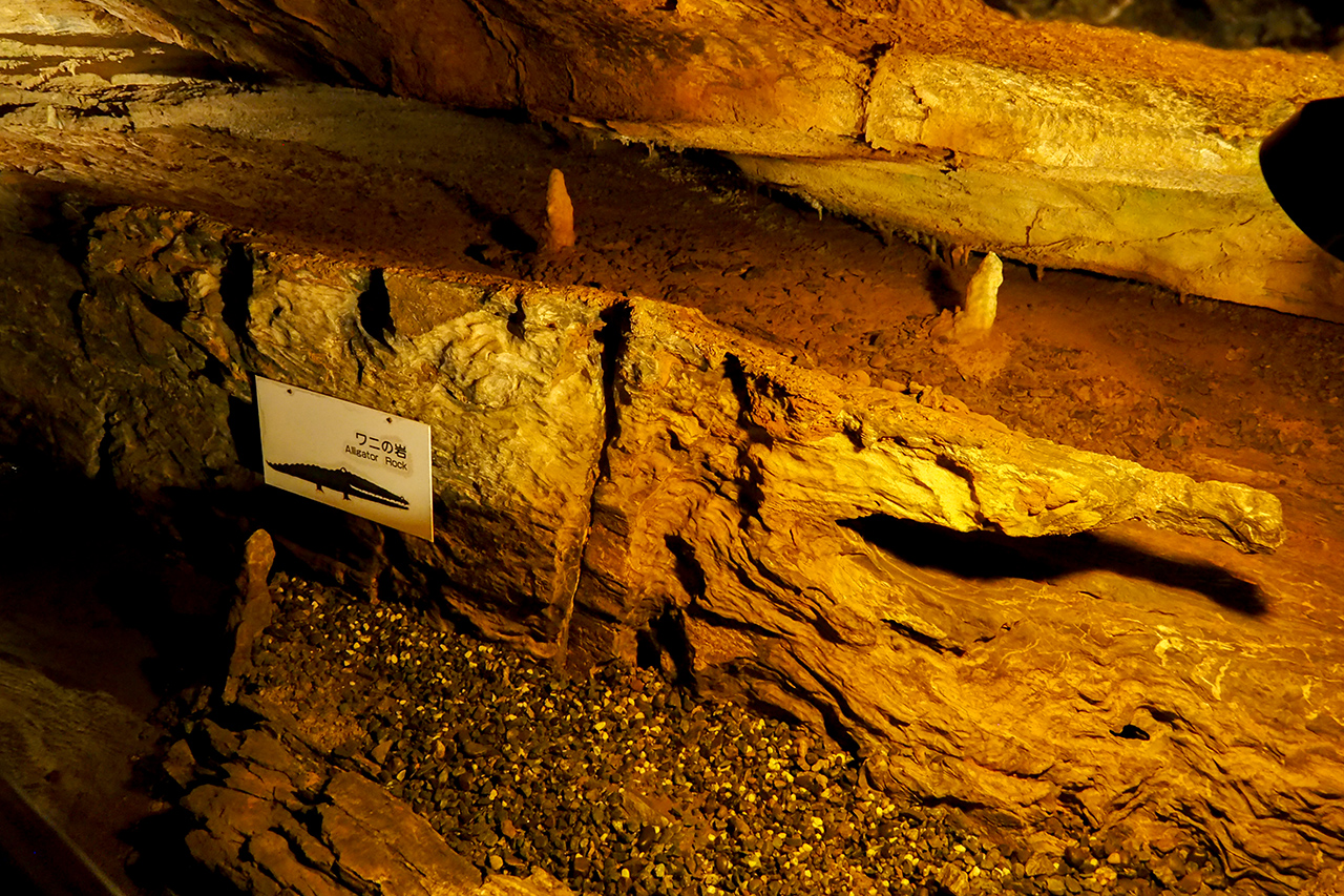 Ryugashido Cavern, Hamamatsu : หินรูปจระเข้อ้าปาก
