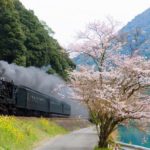 steam locomotive-oigawa railway-beautiful vibe2-japan