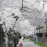 steam locomotive-the paleo express-beautiful vibe-japan
