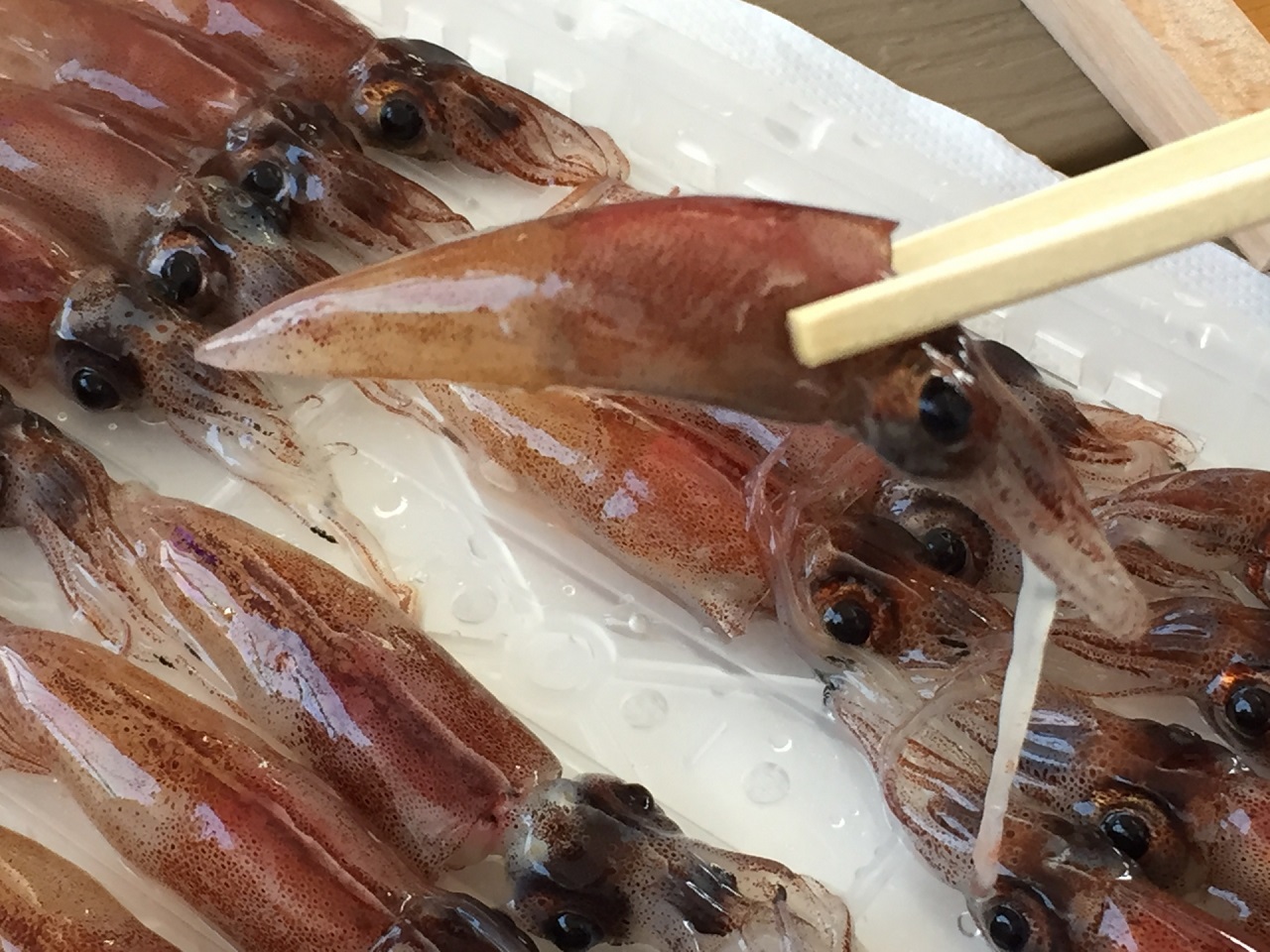 โฮตารุอิกะ (Hotaru Ika) ปลาหมึกน้อย อาหารท้องถิ่น ของจ. โทยามะ 