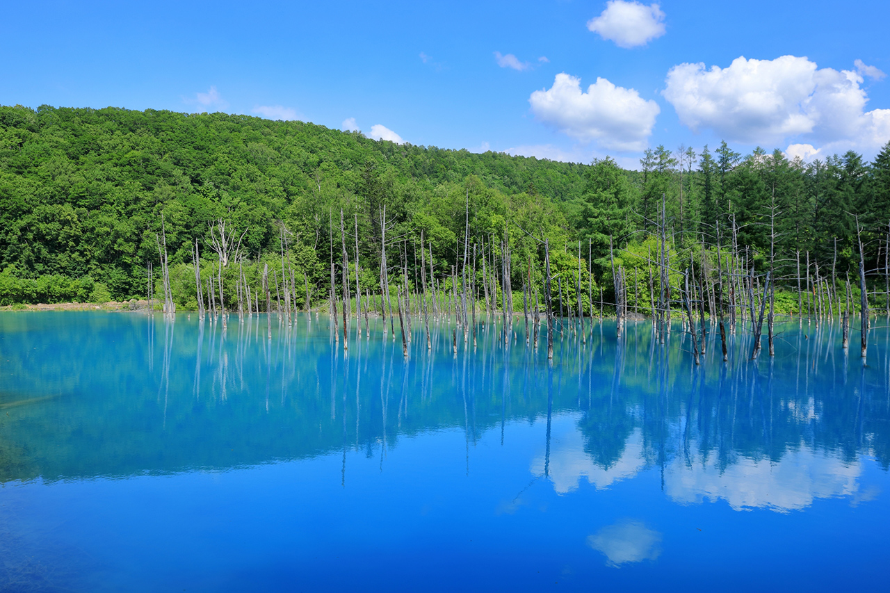 ภูเขาโทคาจิ (Mt. Tokachi) จ.ฮอกไกโด (Hokkaido) ตั้งอยู่ใกล้กับบ่อน้ำพุร้อนมีสระสีฟ้าชิโรกาเนะ (Shirogane Blue Pond)