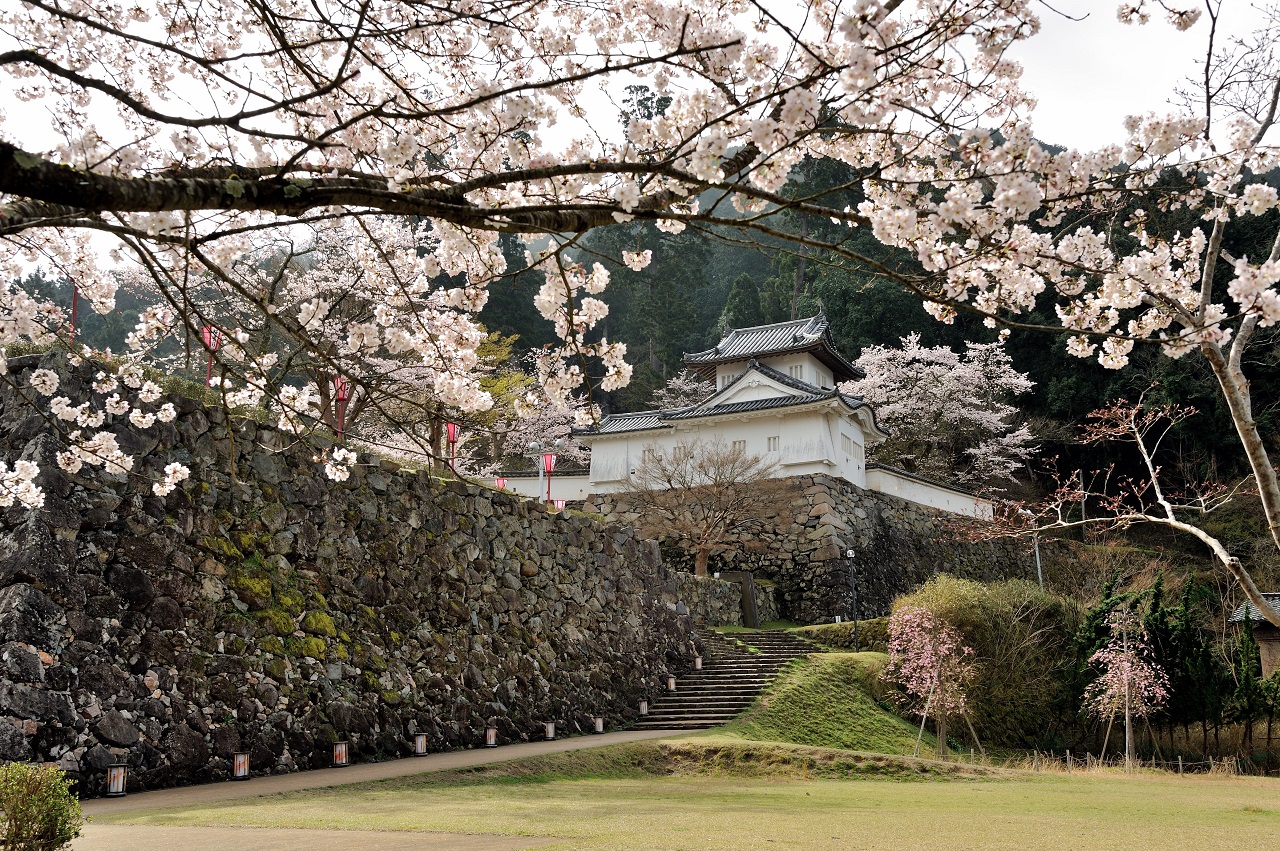 Izushi Castle
