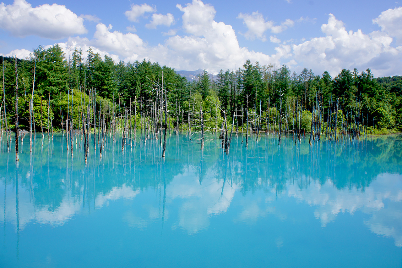 ฺBiei : Shirogane Blue Pond สระน้ำสีฟ้า