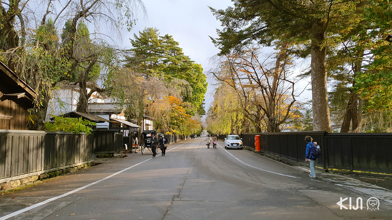 หมู่บ้านซามูไรคาคุโนะดาเตะ (Kakunodate Bukeyashiki Street) อาคิตะ ฤดูใบไม้ร่วง