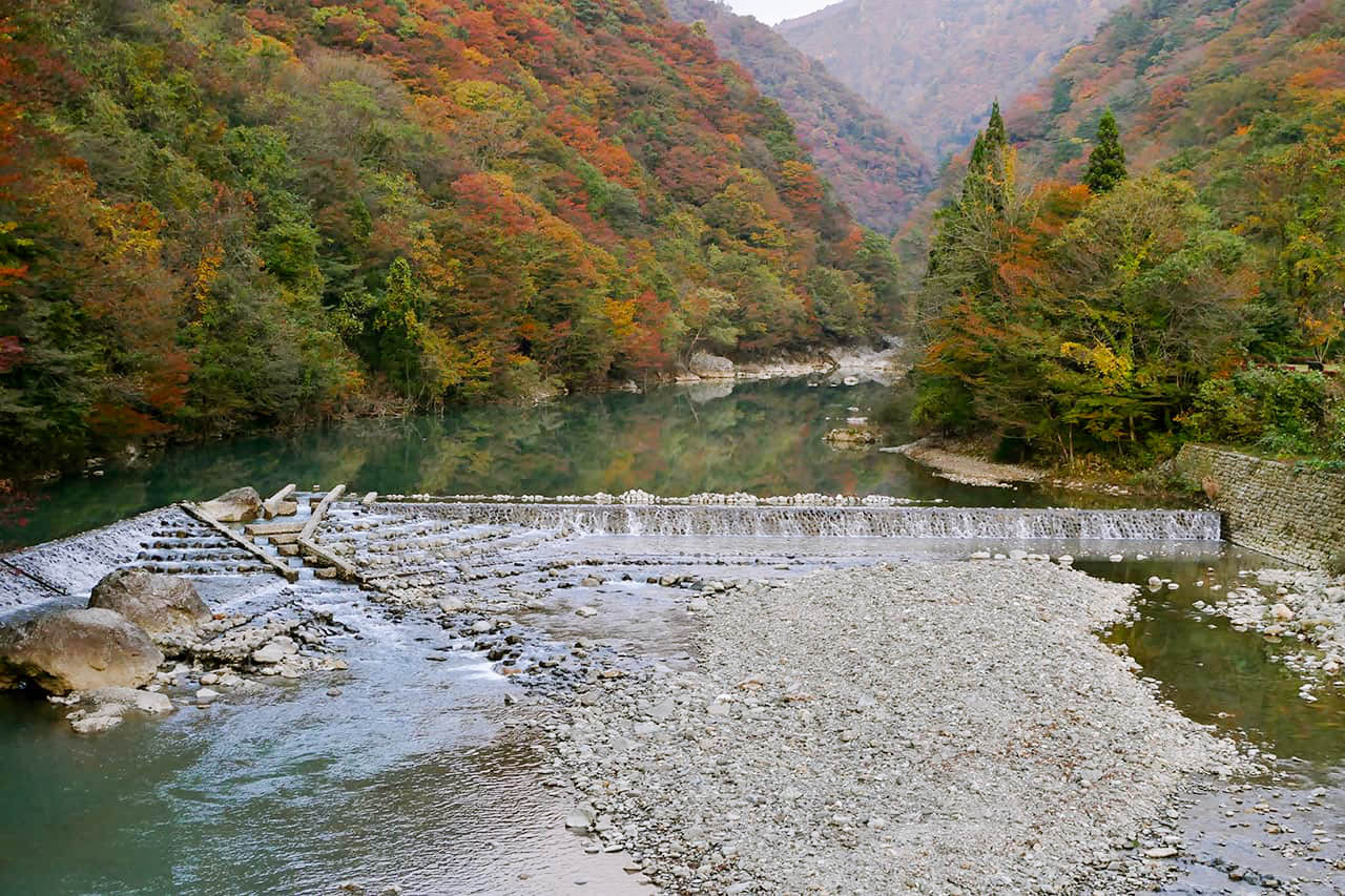 Dakigaeri Gorge ใบไม้เปลี่ยนสี อาคิตะ