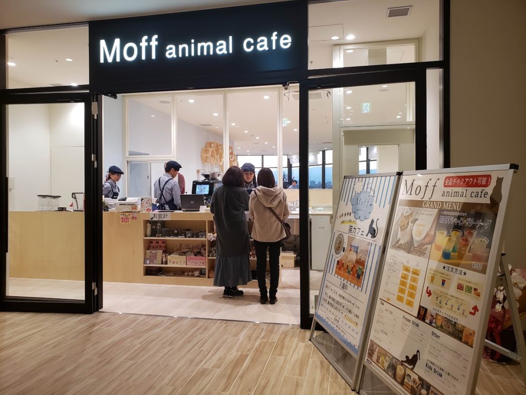 Cat Cafe Moff คาเฟ่แมว โตเกียว