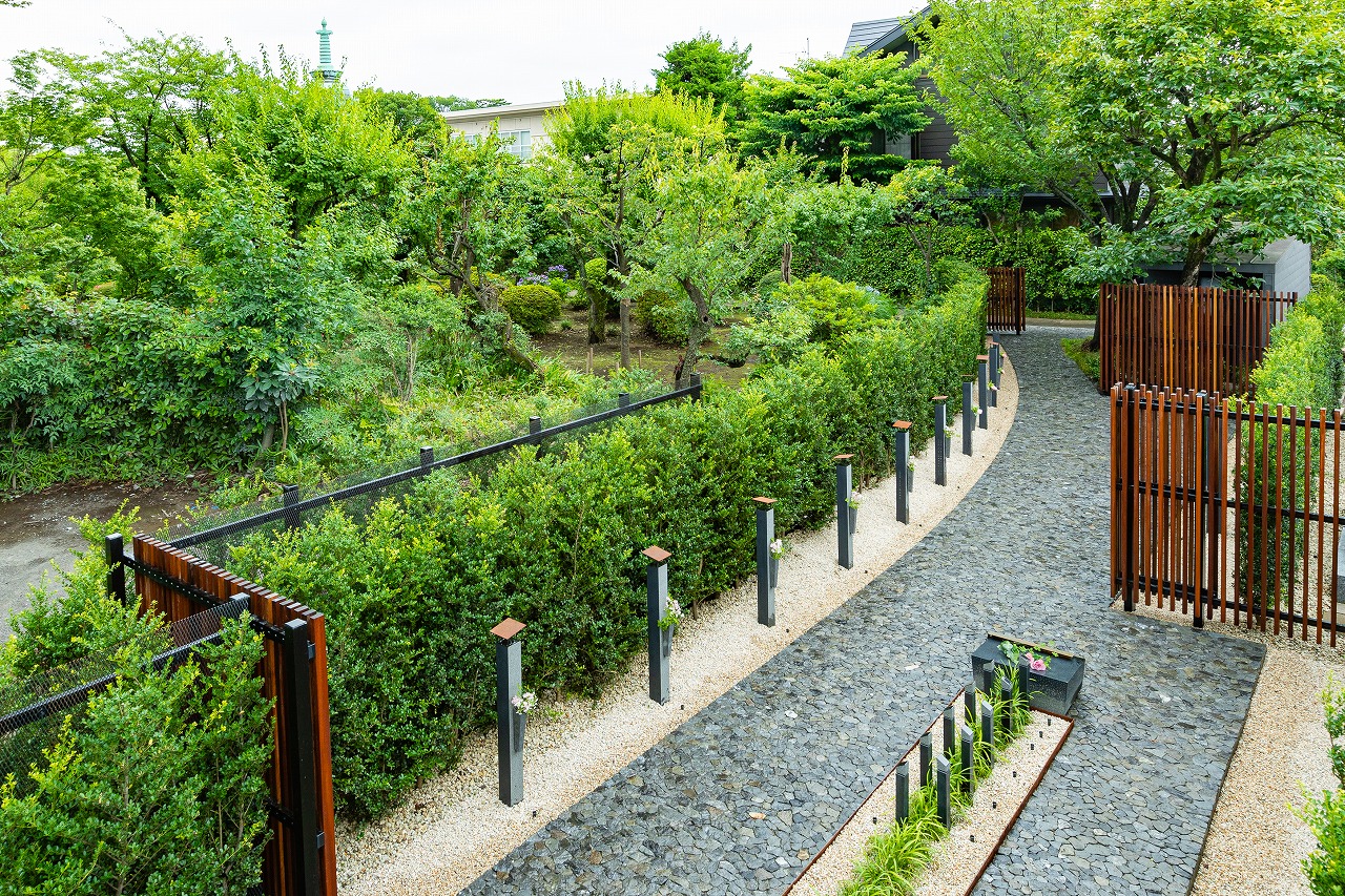 ป่าธรรมชาติ Grave ป่าสุสาน Natural Forest Setagaya Shizen no Mori
