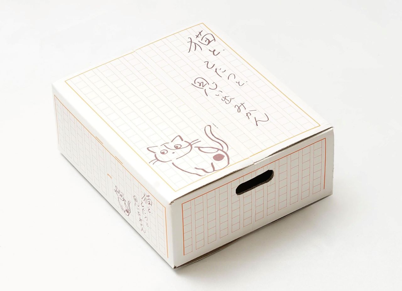 กล่องส้มลายแมว แพ็จเกจส้ม Orange Package Nakata Chicken Store