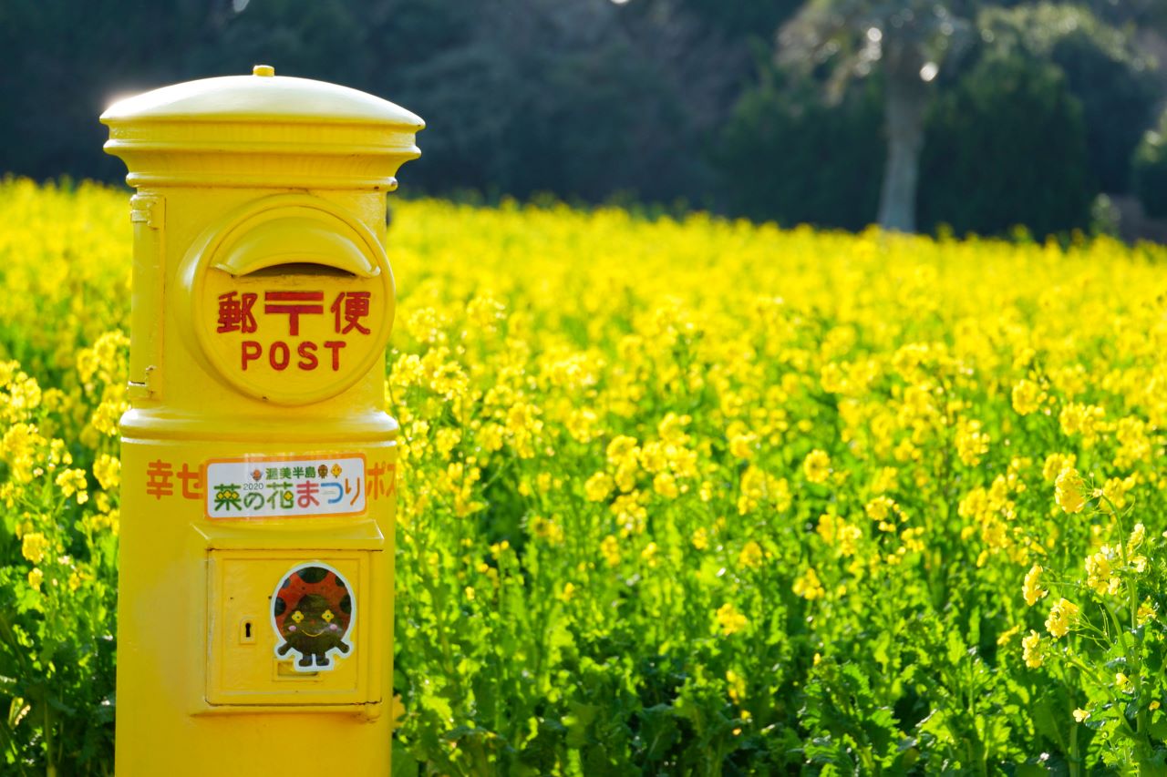 ดอกเรพซีด Rapeseed ตู้ไปรษณีย์สีเหลือง yellow mailbox