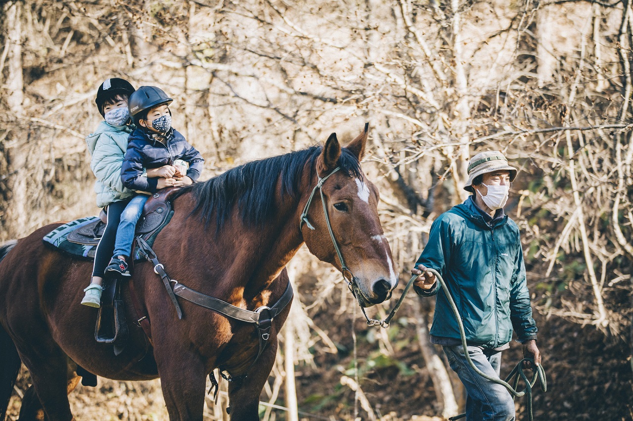 Misuzuko-morinokuni Auto Campground ม้า Horse ขี่ม้า สัตว์