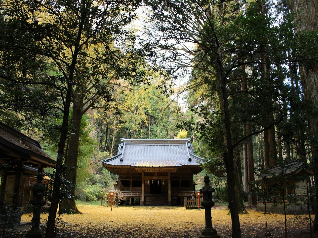 ศาลเจ้านิโนโอกะ Ninooka Shrine ธรรมชาติ เก่าแก่