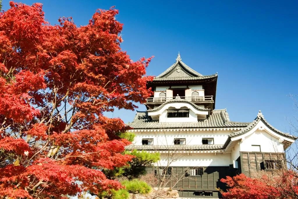 Inuyama Castle ปราสาทไม้ เก่าแก่ NobuyasuOda