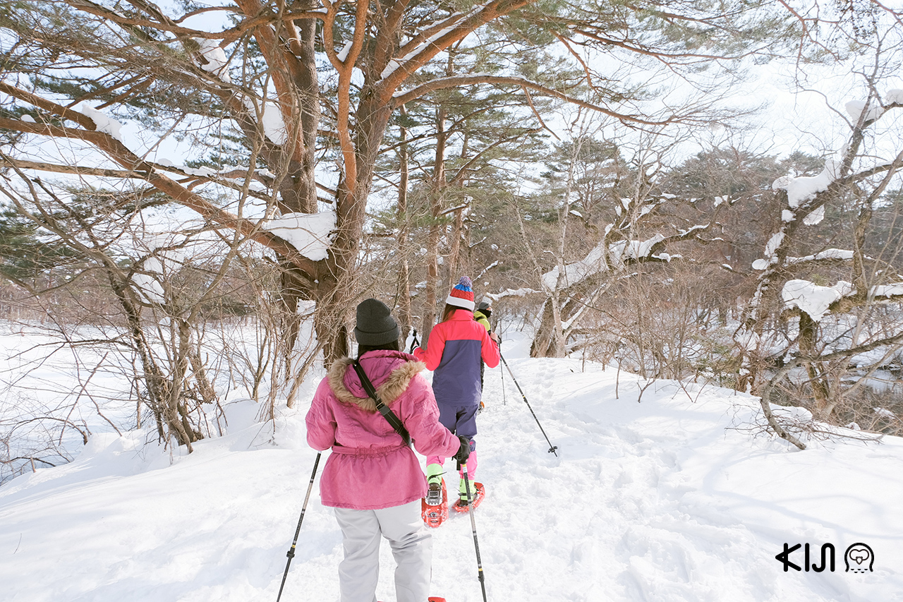 Snow Shoes Trekking ฟุกุชิมะ ยามะ โทโฮคุ