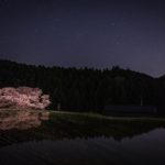 Sakura Spots in Nara 15