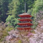 Sakura Spots in Nara 27