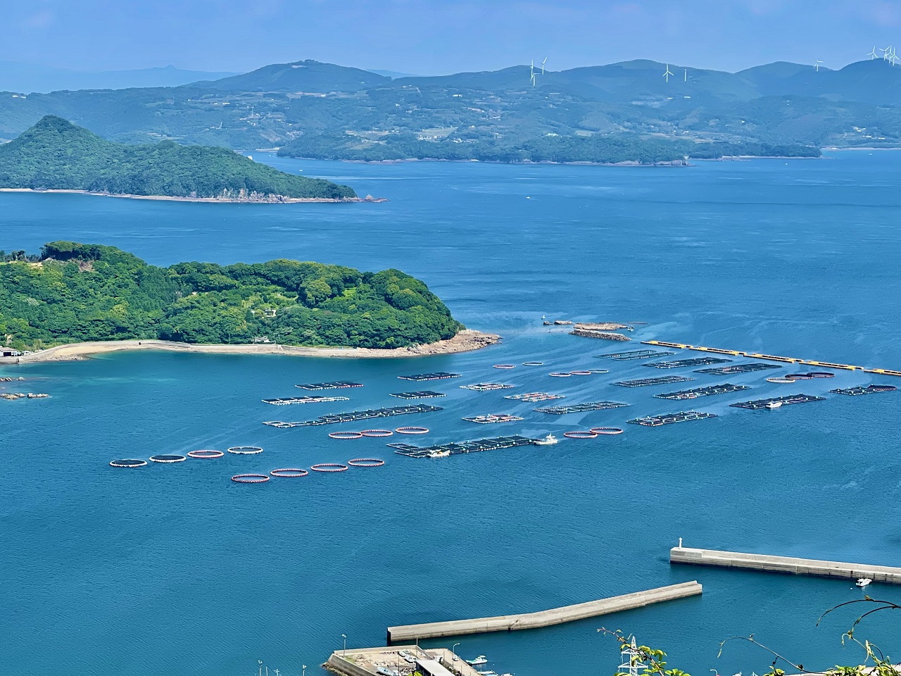 หมู่เกาะอามากุสะ Amakusa Islands คุมาโมโตะ เลี้ยงปลา