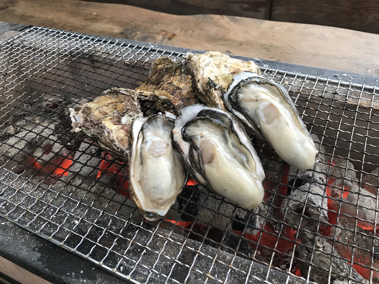 เทศกาล อาหารทะเล โอซาก้า หอยนางรม SAKANA & JAPAN FESTIVAL 2022