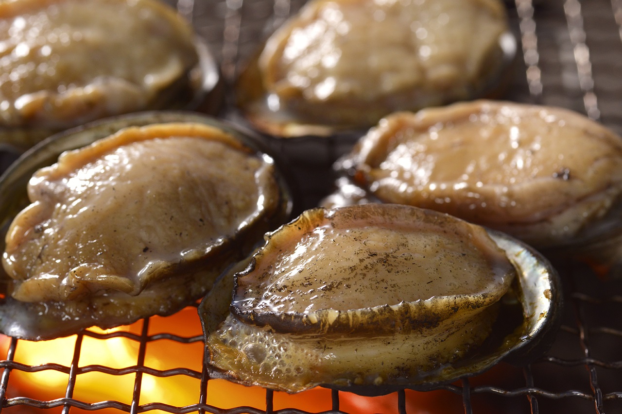 หอยเป๋าฮื้อ อาหารทะเล งานเทศกาล SAKANA & JAPAN FESTIVAL 2022