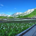 Tsugaike Nature Park 3