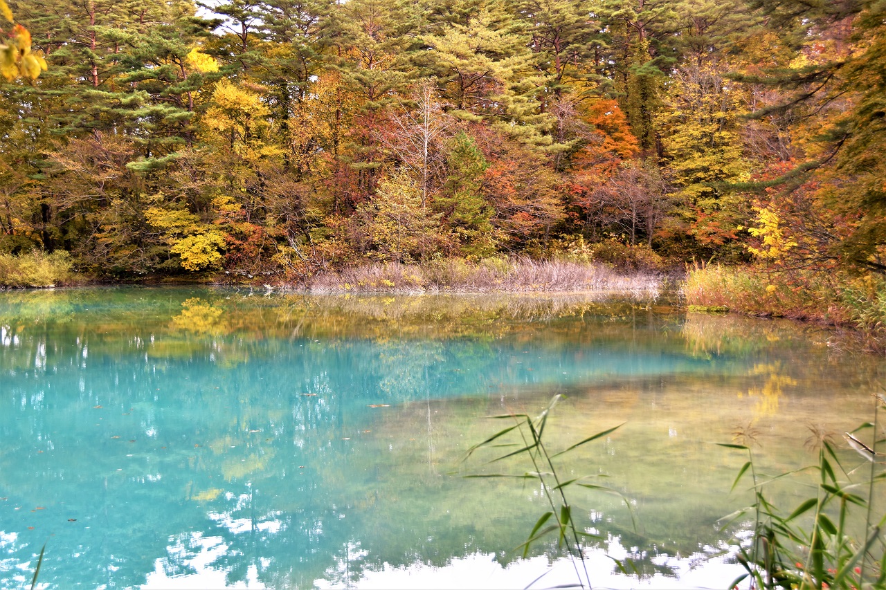 สระน้ำ บึง สีฟ้า ใบไม้เปลี่ยนสี ฟุกุชิมะ โทโฮคุ