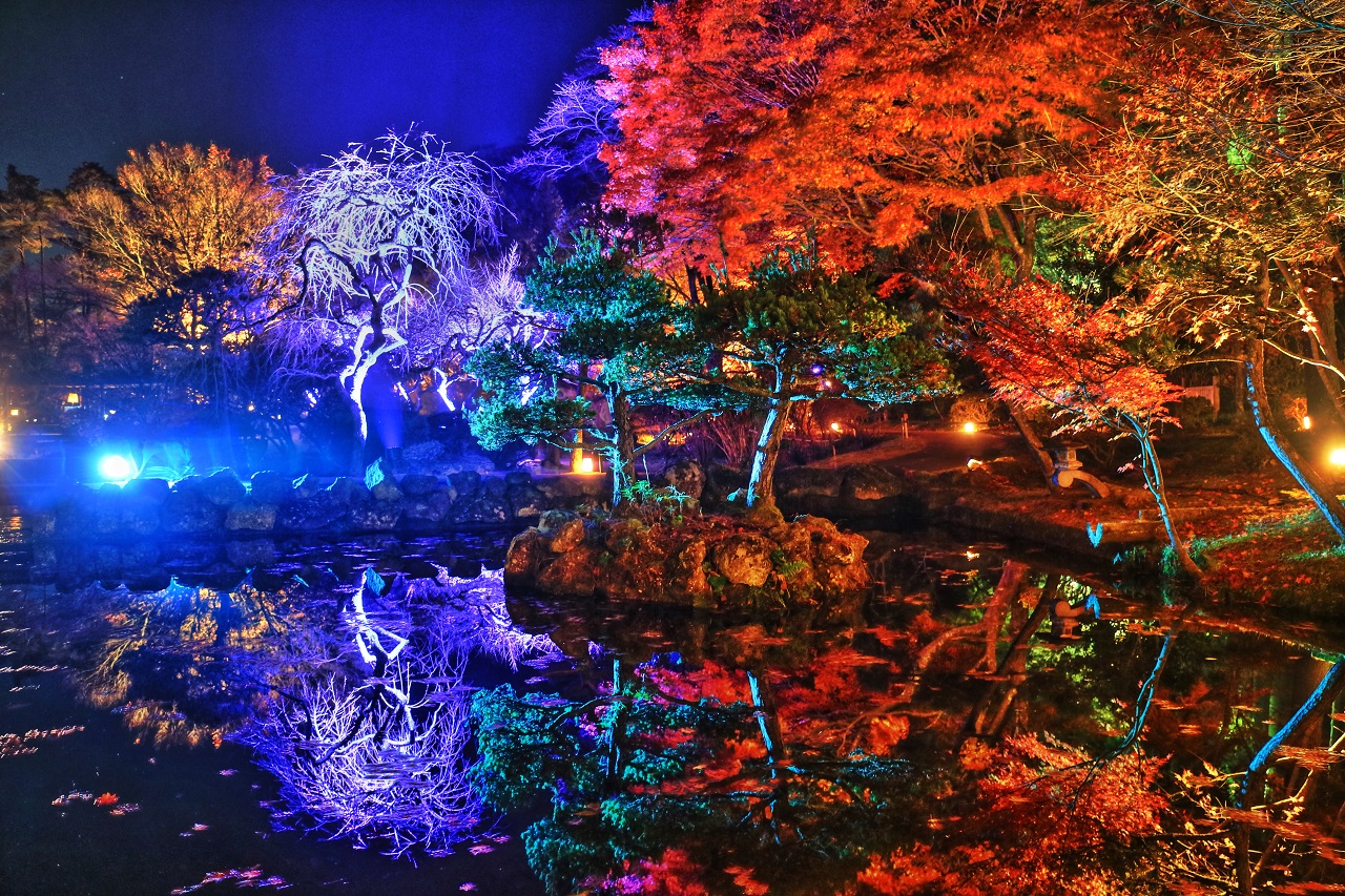 สวนธรรมชาติเท็นชุคาคุ มิยากิ ไฟประดับ ใบไม้เปลี่ยนสี โทโฮคุ