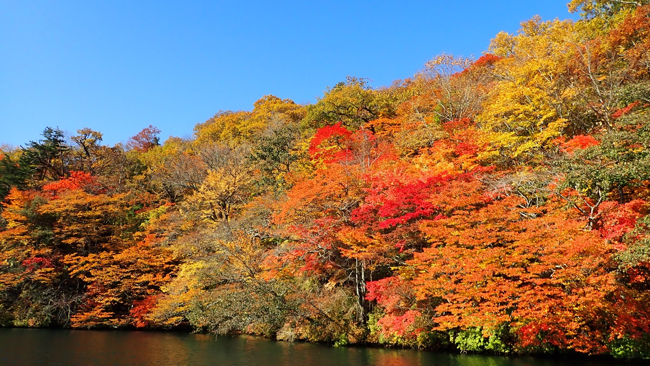 ใบไม้แดง ทะเลสาบ โทวาดะ อาโอโมริ