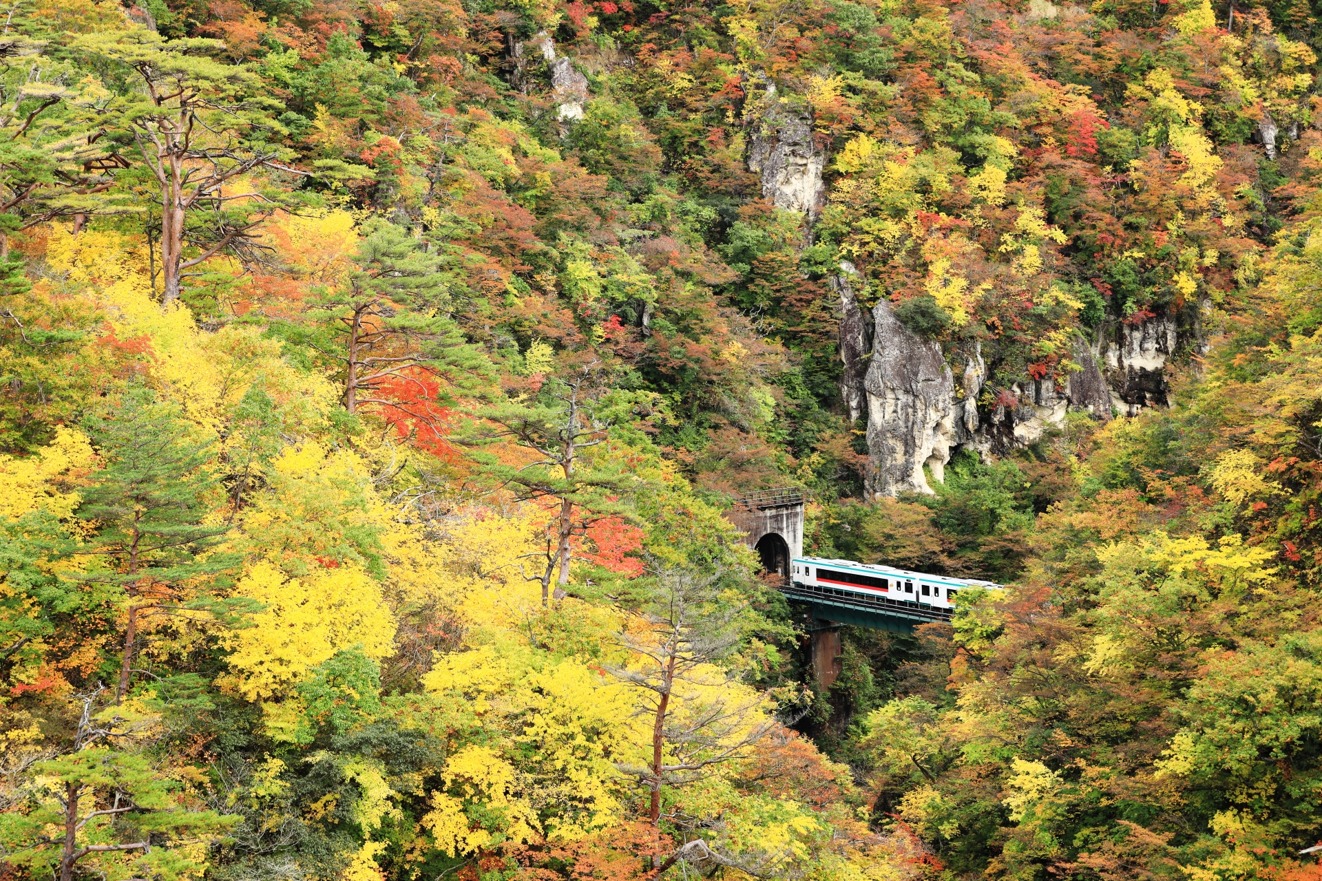 Naruko Gorge Autumn หุบเขานารุโกะ ใบไม้เปลี่ยนสี