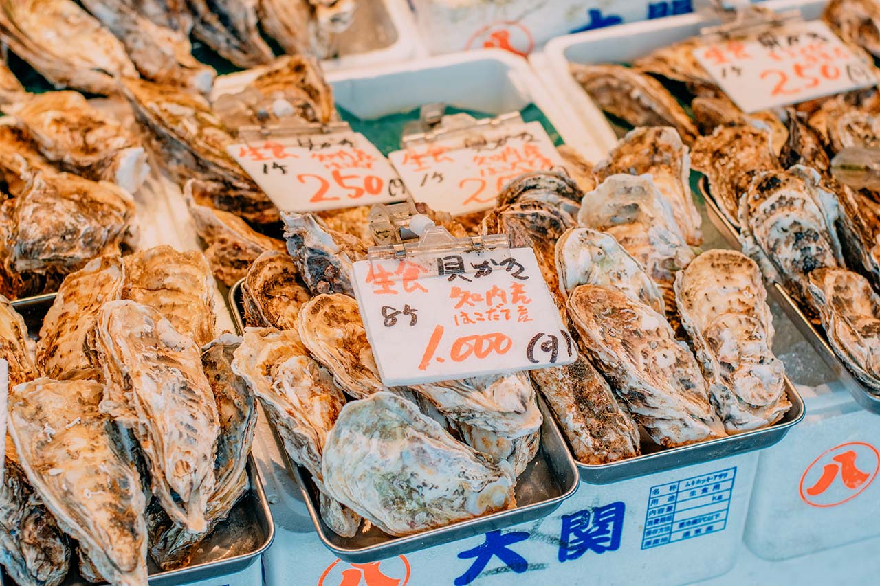 Sakaimoto Shoten หอยนางรม ตลาด ฮอกไกโด