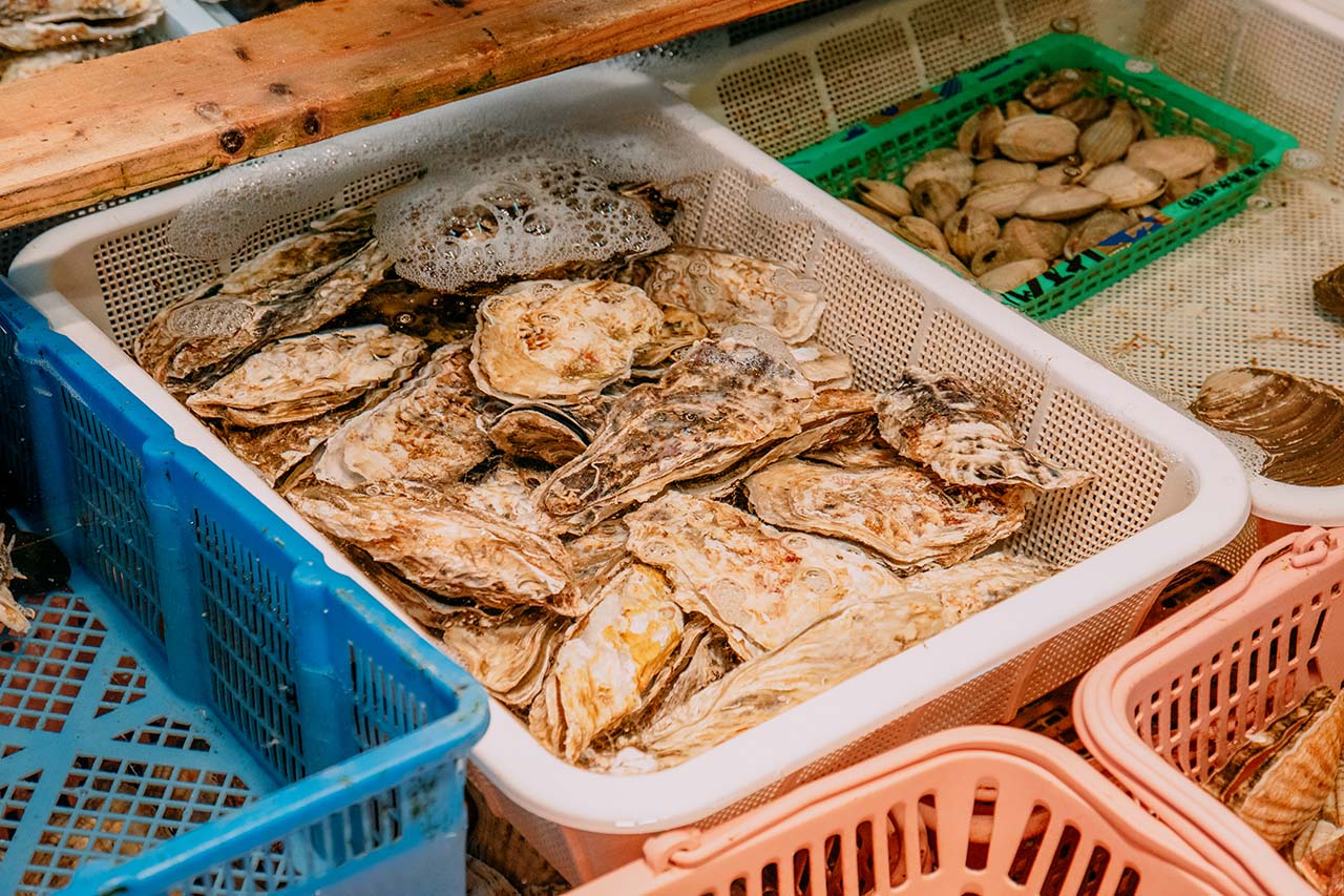 Fujita Shoten หอยนางรม อาหารทะเลสด