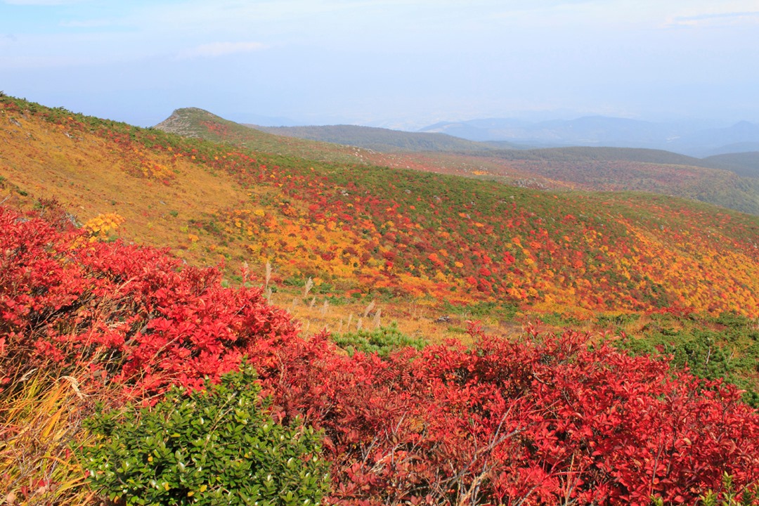 โทโฮคุ ใบไม้เปลี่ยนสี วิว ภูเขา ใบไม้แดง ฟุกุชิมะ