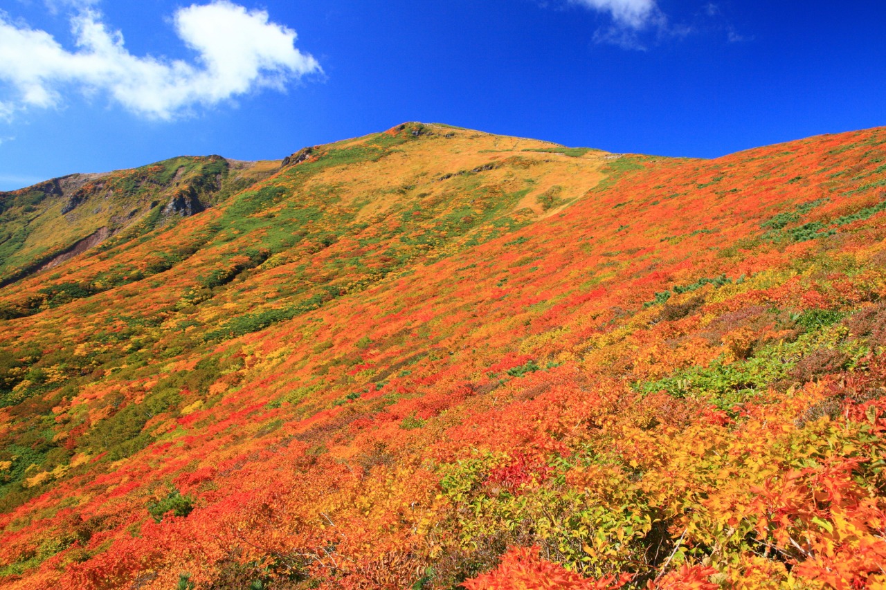 โทโฮคุ ใบไม้เปลี่ยนสี ภูเขาคุริโคมะ จังหวัดมิยากิ โทโฮคุ ปีนเขา