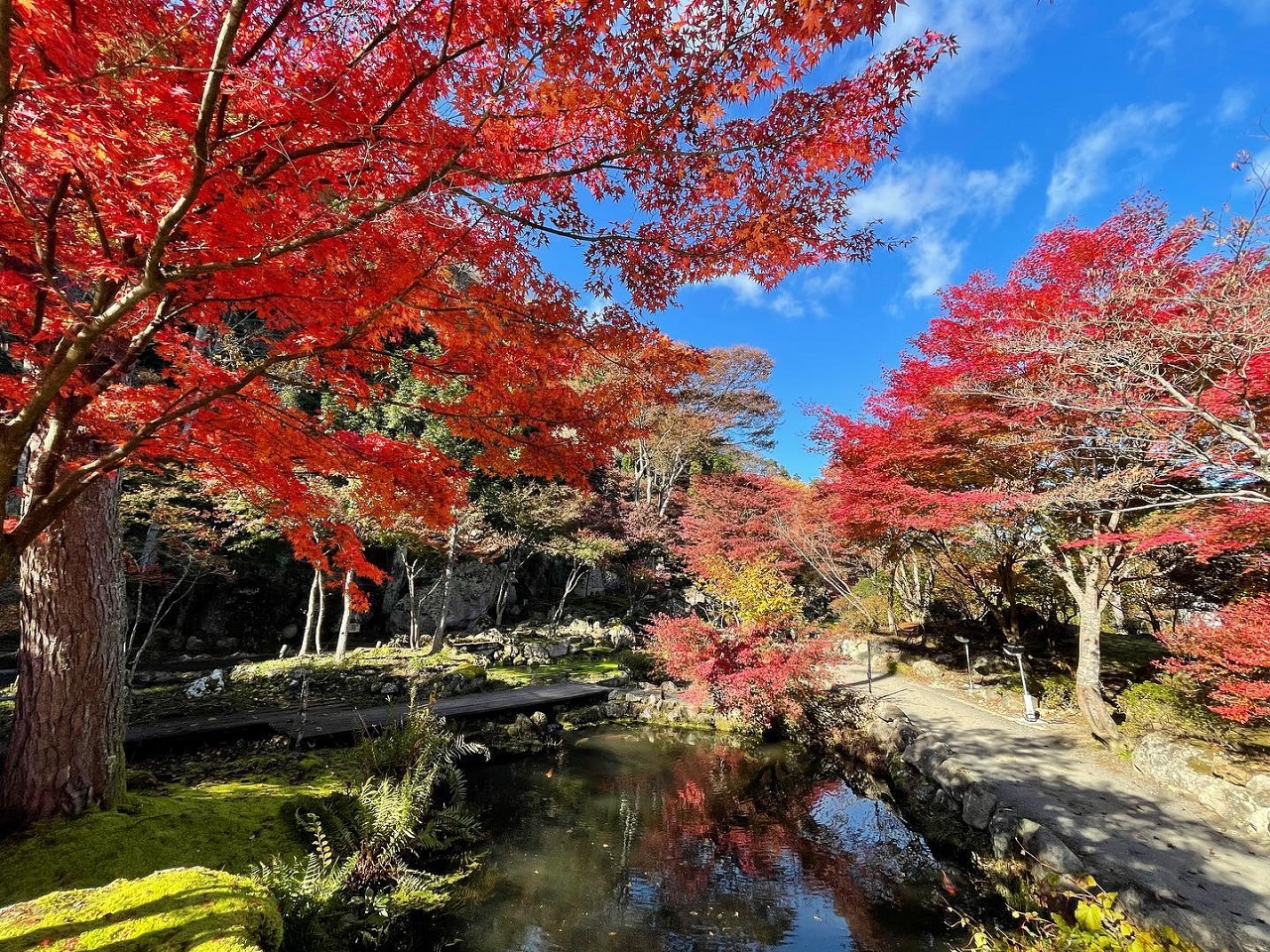สวนธรรมชาติเท็นชุคาคุ สวน ใบไม้แดง ใบไม้เปลี่ยนสี โทโฮคุ มิยากิ 