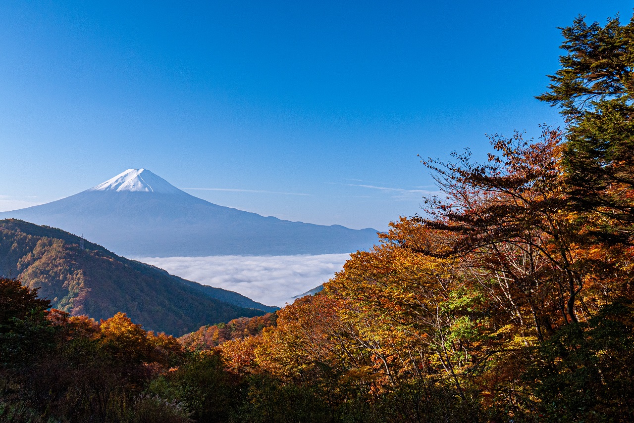 Tenka Chaya Mt. Fuji 