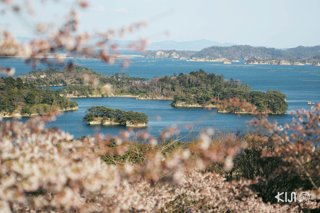 Matsushima วิวสวย