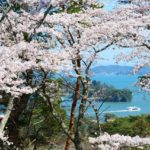 Matsushima Sakura