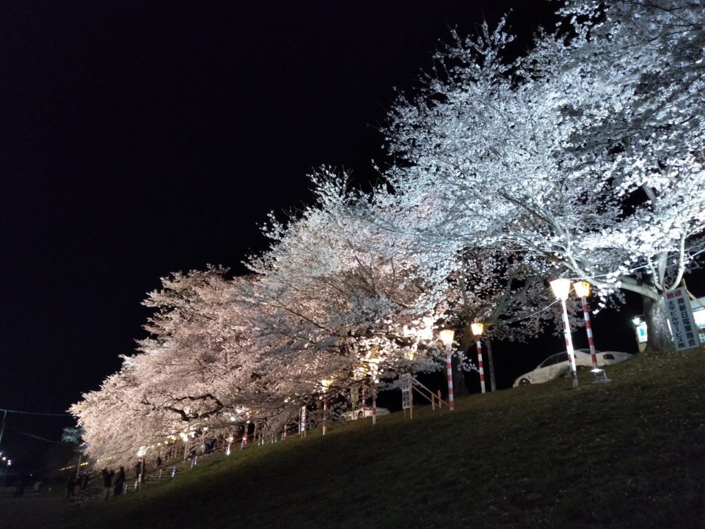 Trip โทโฮคุ Funaoka Joshi Park สวนสาธารณะ ซากุระ