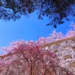 Morioka Castle Ruins Park