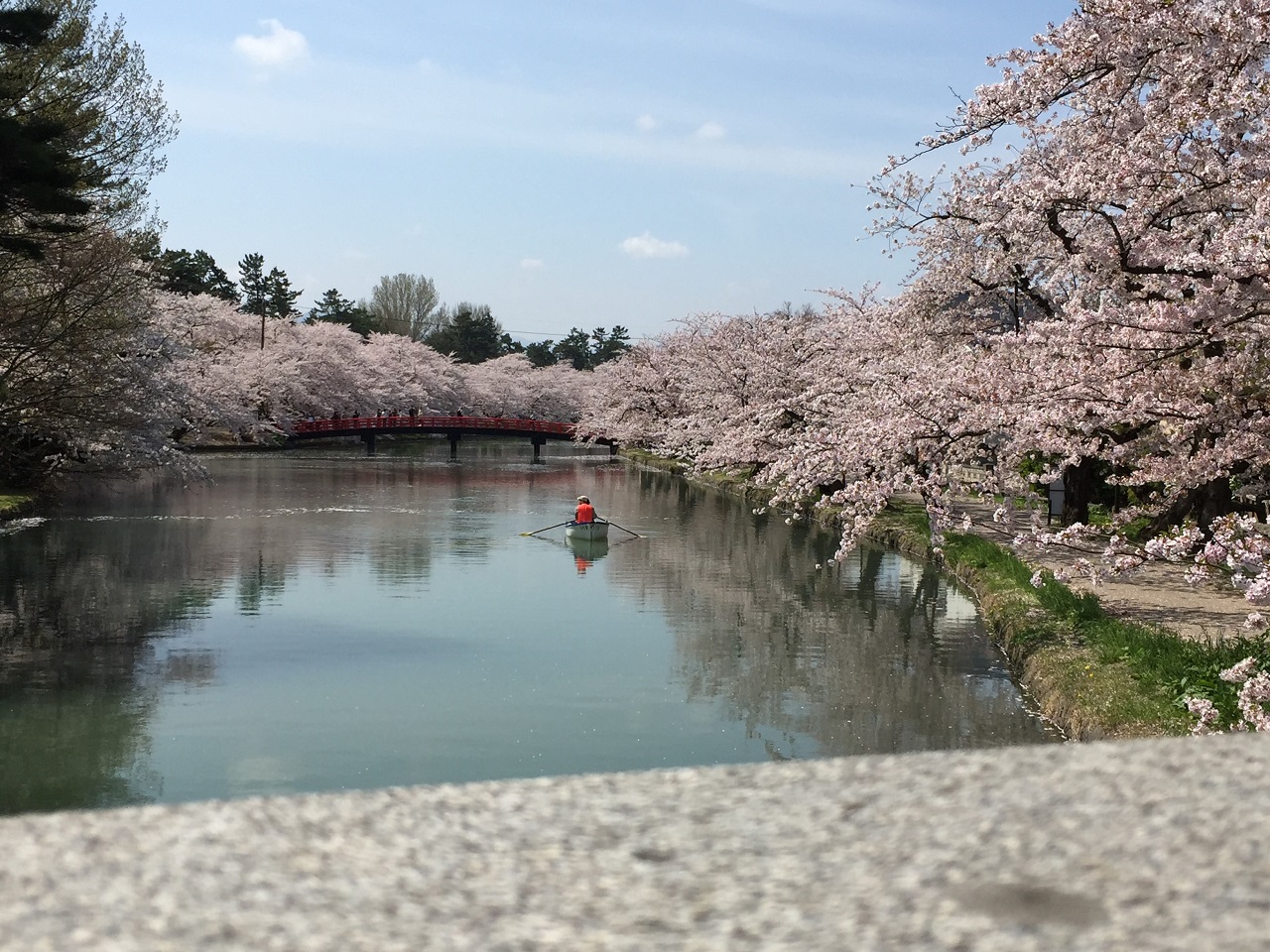 สวน ปราสาท ฮิโรซากิ ซากุระ