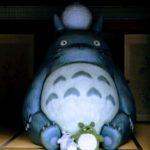 totoro (21)